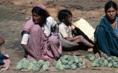 Viejo esplendor en Pachmarhi, India