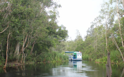 La misteriosa Kalimantan en Indonesia