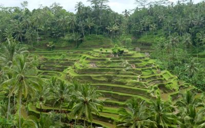 Bali: Playa y mucho más