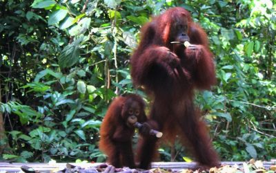 Indonesia: Más allá de Bali