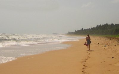 Playas en Sri Lanka: La región suroeste