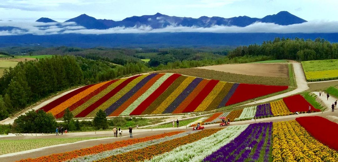 Viajar a Japón: Hokkaido,  la isla de las Cuatro Estaciones