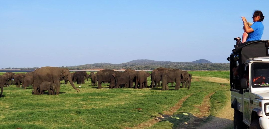 Viajar a Sri Lanka en familia: qué ver y qué hacer