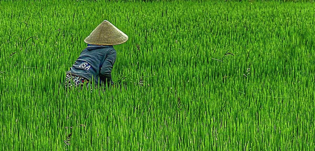 El Vietnam más tradicional: un país de aldeas y campos