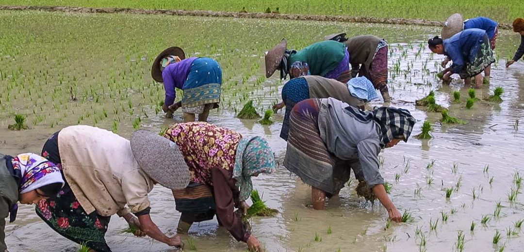 Las tribus de Laos, visita obligada