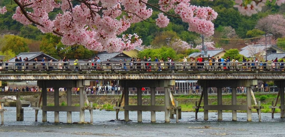 15 días por Japón: un viaje en el tiempo de castillos a la era tecnológica