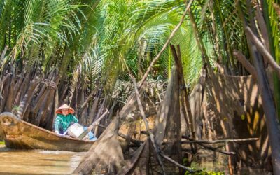 El fascinante sur de Vietnam: desde Ho Chi Minh City