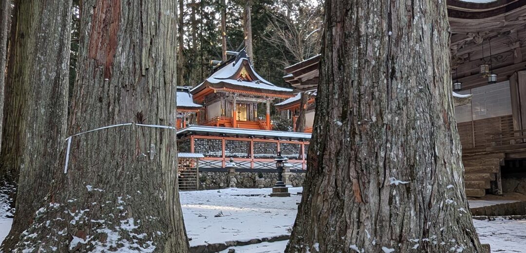 Koyasan: Un refugio sagrado entre las montañas de Japón