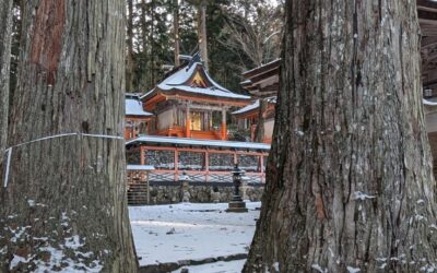 Koyasan: Un refugio sagrado entre las montañas de Japón